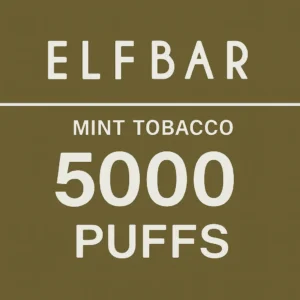 Elfbar 5000 Mint Tobacco Disposable Vape