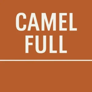 Camel Full Cigarettes (King Size 25)
